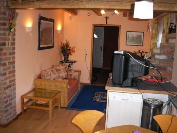 The flat (apartment) - living room