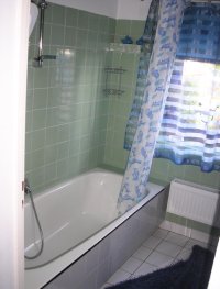The flat (apartment) - bathroom
