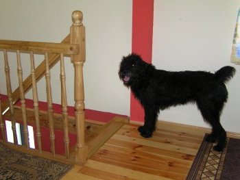 Stairs on first floor.