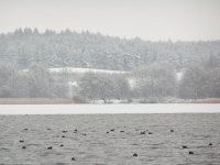 Winter at the Pile Lake